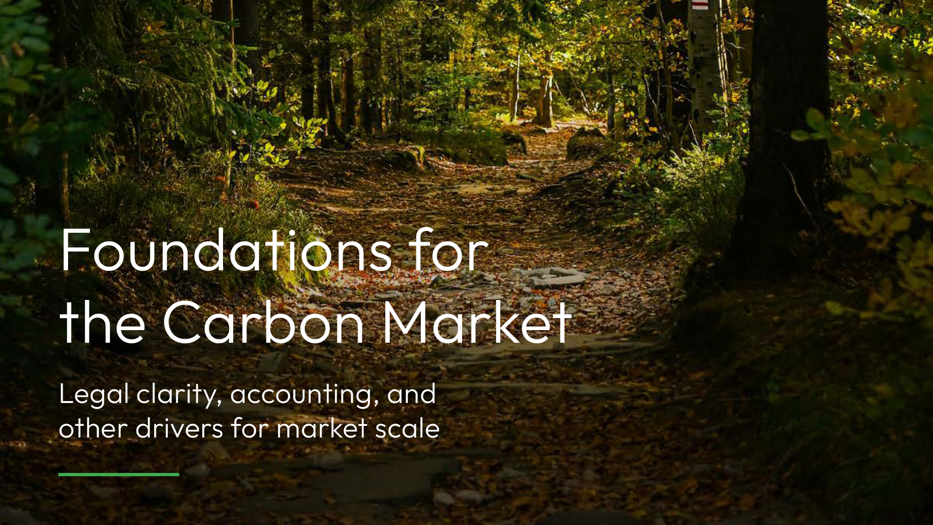 Foundations for the Carbon Market: Legal clarity, accounting, and other drivers for market scale